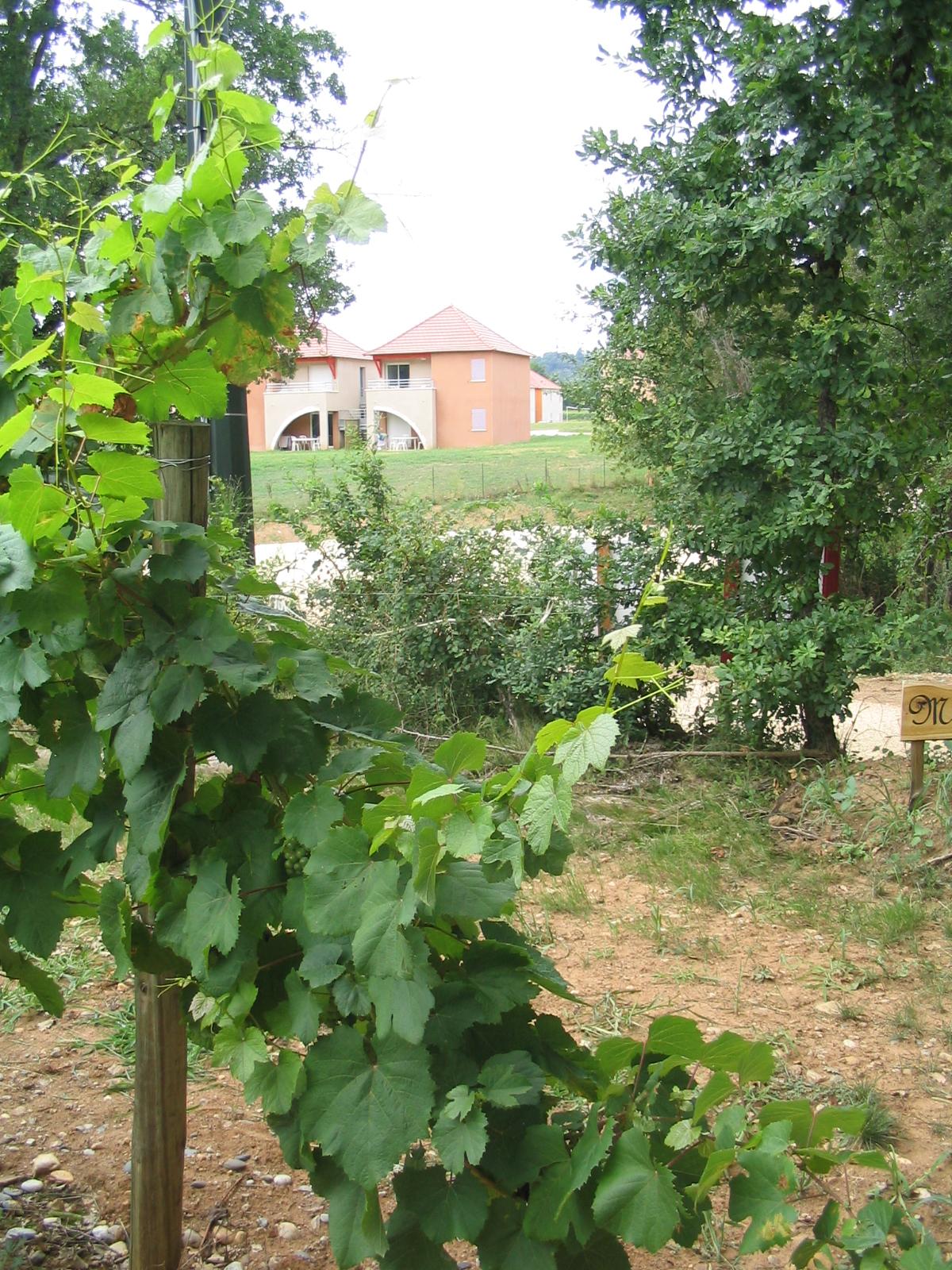 Terres De France - Domaine De Claire Rive Hotel Prayssac ภายนอก รูปภาพ